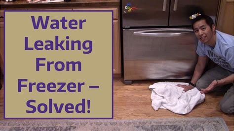 Frost Free Freezer Leaking Water: Common Causes and Easy。